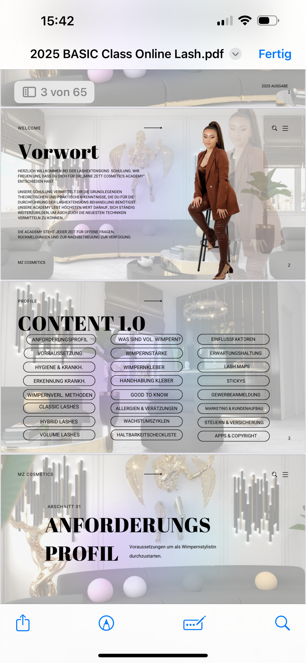 ONLINE Lashextensions Schulung | 1:1 | Volumen