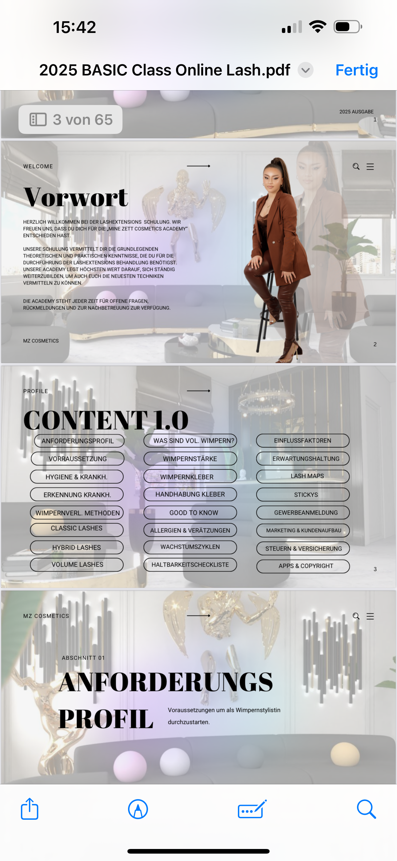 ONLINE Lashextensions Schulung | 1:1 | Volumen