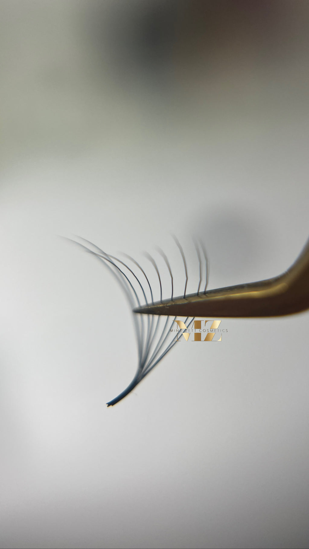 10D — C-Curl | pre Made Fan 1000FANS