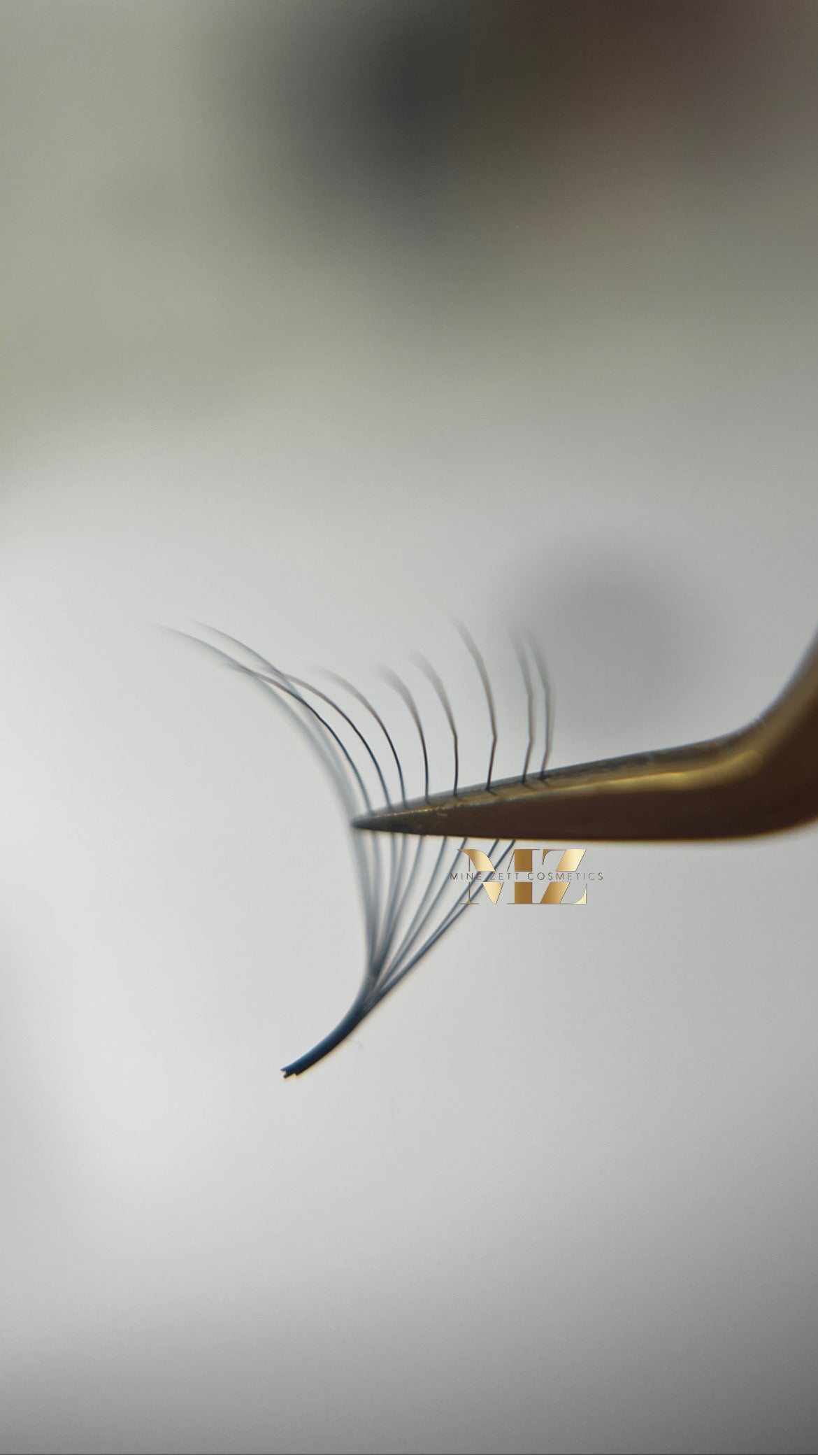 10D — C-Curl | pre Made Fan 1000FANS