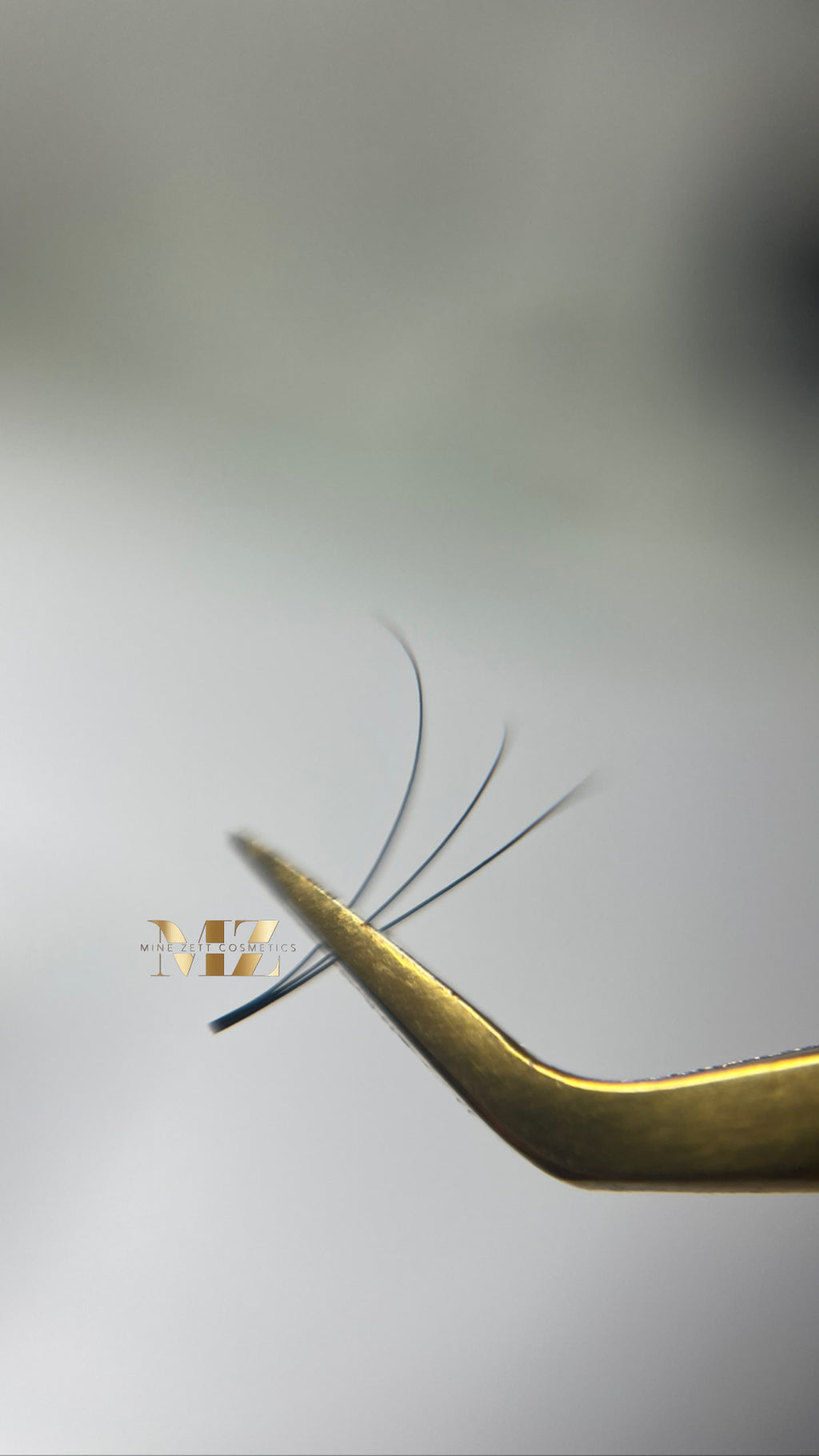 3D — C-CURL | pre Made Fan 1000FANS | 0.05dm |