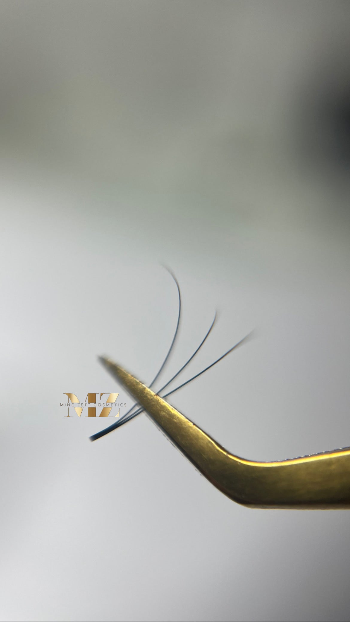 3D — C-CURL | pre Made Fan 1000FANS | 0.05dm |