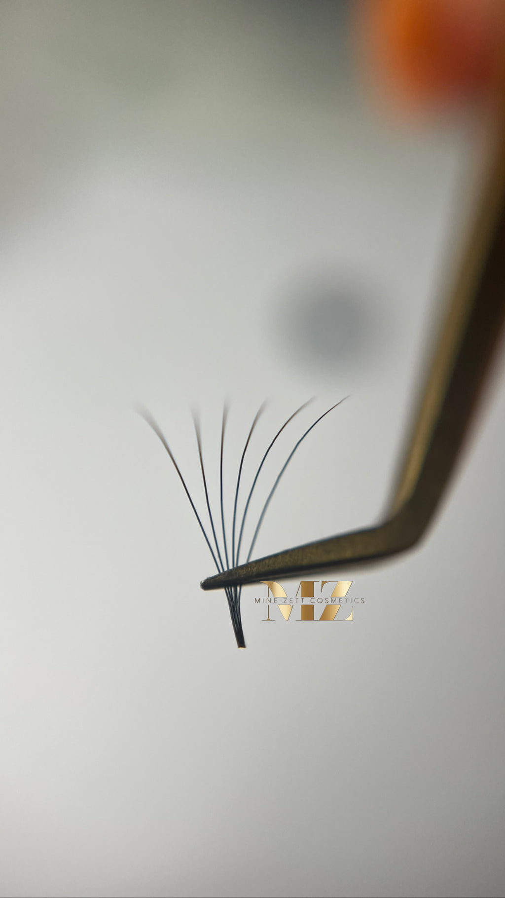 6D — C-Curl | pre Made Fan 1000 FANS | 0.05