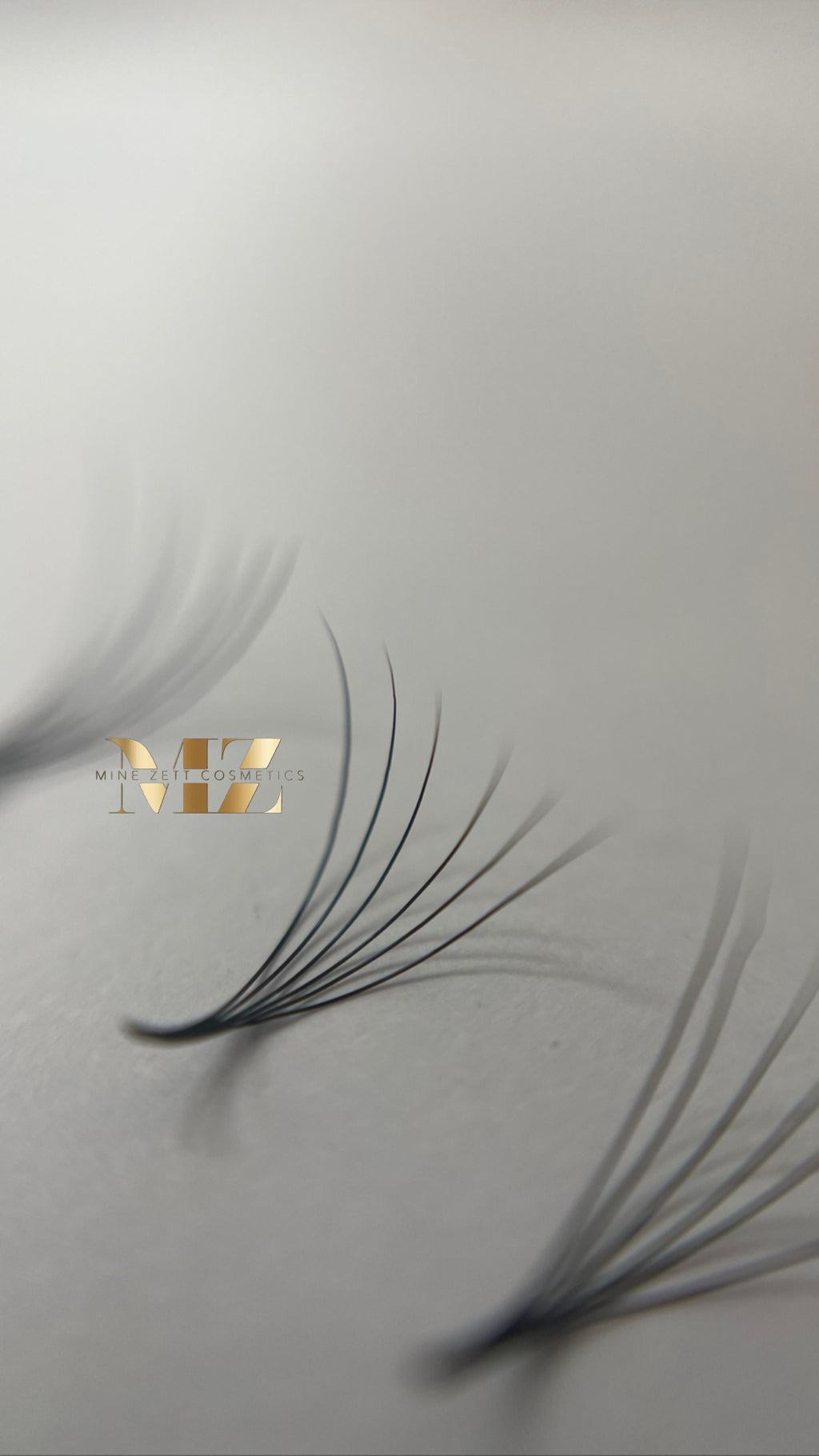 6D — C-Curl | pre Made Fan 1000 FANS | 0.05