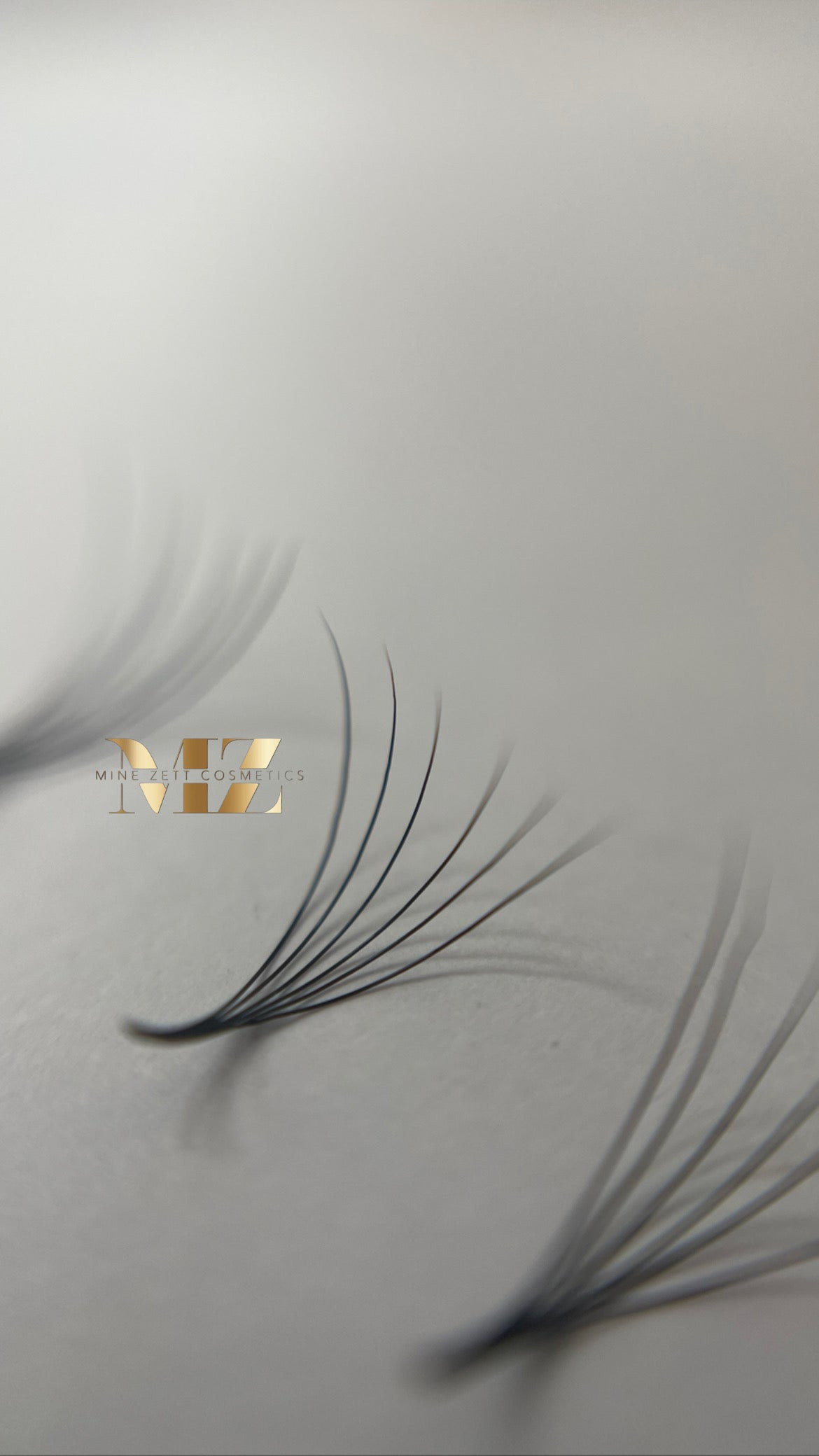 6D — C-Curl | pre Made Fan 1000 FANS | 0.05