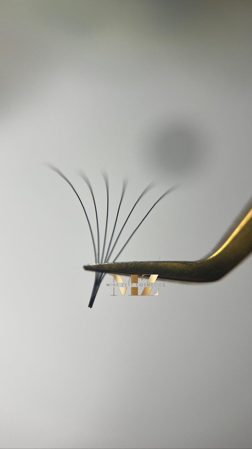 6D — C-Curl | pre Made Fan 1000 FANS | 0.05