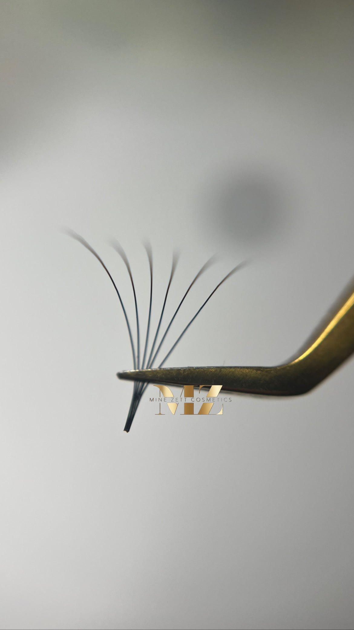 6D — C-Curl | pre Made Fan 1000 FANS | 0.05